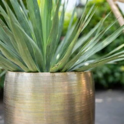 Pflanzgefäß 'Rowen', Gold, Ø 42 X H 41 Cm -Garten Sicht Verkäufe 3210801622 Pflanzgefaess Rowen gold D 42 x H 41 cm 2 114989