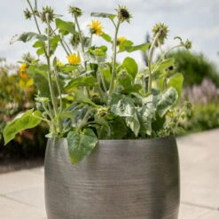 Pflanzgefäß 'Rowen', Silber, Ø 38 X H 30 Cm -Garten Sicht Verkäufe 3210801625 3210801626 3210801627 3210801628 Pflanzgefaess Rowen silber 7 115003 1