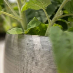 Pflanzgefäß 'Rowen', Silber, Ø 31 X H 28 Cm -Garten Sicht Verkäufe 3210801625 3210801626 3210801627 3210801628 Pflanzgefaess Rowen silber 9 115005 3