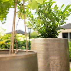 Pflanzgefäß 'Rowen', Gold, Ø 47 X H 82 Cm -Garten Sicht Verkäufe 3210801630 3210801631 3210801632 3210801633 Pflanzgefaess Rowen gold 2 115015