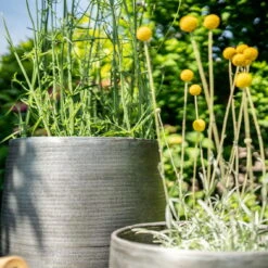 Pflanzgefäß 'Rowen', Silber, Ø 47 X H 82 Cm 14 Pflanzgefäß 'Rowen', Silber, Ø 47 X H 82 Cm -Garten Sicht Verkäufe 3210801635 3210801636 3210801637 3210801638 Pflanzgefaess Rowen silber 12 115029 1