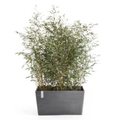 Pflanzkasten 'Paris', Grau, L 60 X B 26 X H 40 Cm -Garten Sicht Verkäufe 3230101236 pflanzkasten paris 2 117480