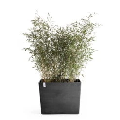 Pflanzkasten 'Paris', Dunkelgrau, L 85 X B 40 X H 65 Cm -Garten Sicht Verkäufe 3230101243 pflanzkasten paris mit rollen 2 117498