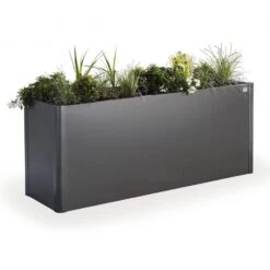 Biohort Pflanzbeet "Belvedere", Verzinktes Stahlblech, Zeitloses Design, Einlegeboden -Garten Sicht Verkäufe 3230600061 Pflanzbeet Belvedere M dunkelgraumetallic3 65053
