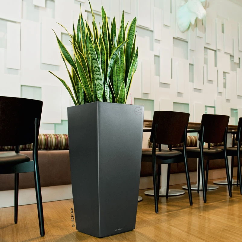 LECHUZA Cubico Premium 30, Anthrazit-metallic, All-in-One-Set, 30x30, H:56 Cm 1 LECHUZA Cubico Premium 30, Anthrazit-metallic, All-in-One-Set, 30x30, H:56 Cm