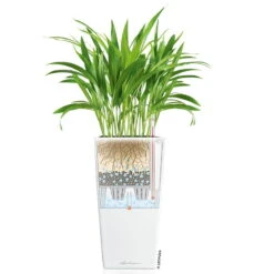 LECHUZA Cubico Premium 40, Weiß Hochglanz, All-in-One-Set, 40 X 40, H:75 Cm -Garten Sicht Verkäufe 3325100114 CubicoPremium22 weiss All in One Set 22x22x41cm RGB 7573 2