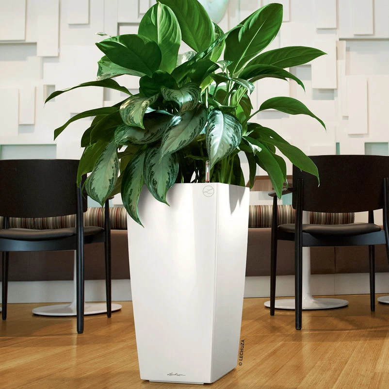 LECHUZA Cubico Premium 30, Weiß Hochglanz, All-in-One-Set , 30x30, H:56 Cm 1 LECHUZA Cubico Premium 30, Weiß Hochglanz, All-in-One-Set , 30x30, H:56 Cm