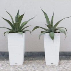 Lechuza Cubico Cottage 40, Weiß, All-in-One-Set